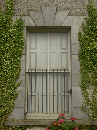 Collon House, Collon 04 - New Front Window